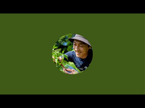 YESか農家(5/24迄お取り置き) YESか農家 - YouTube
