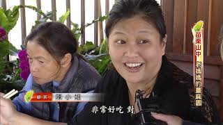 【預告】苗栗山中老媽媽的薑麻園-進擊的台灣 