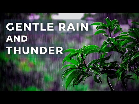 GENTLE RAIN & THUNDER Sounds to SLEEP, RELAX, Reduce Stress, Study & Relieve Anxiety - 3 HOURS