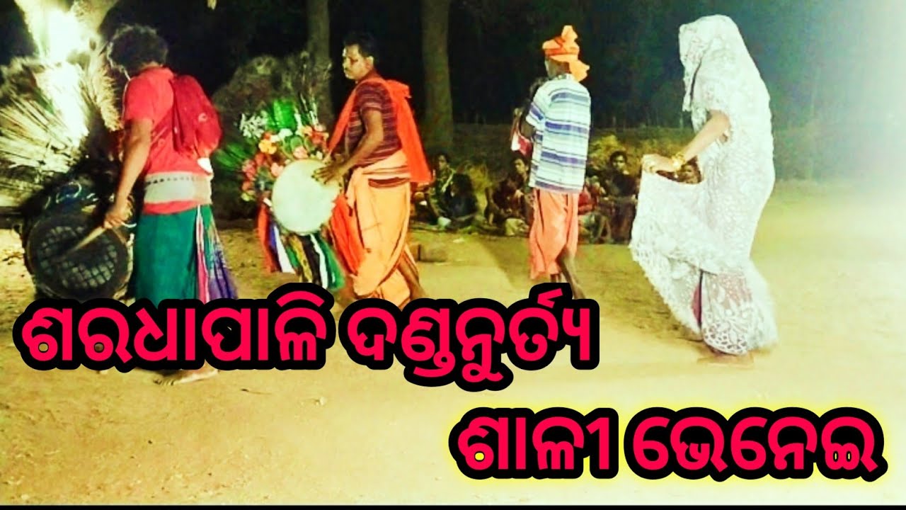 ଶାଳୀ ଭେନେଇ ଦଣ୍ଡନୁର୍ତ୍ୟ || salibhenei dandanacha sardhapali || new video @bhaijaanstudio
