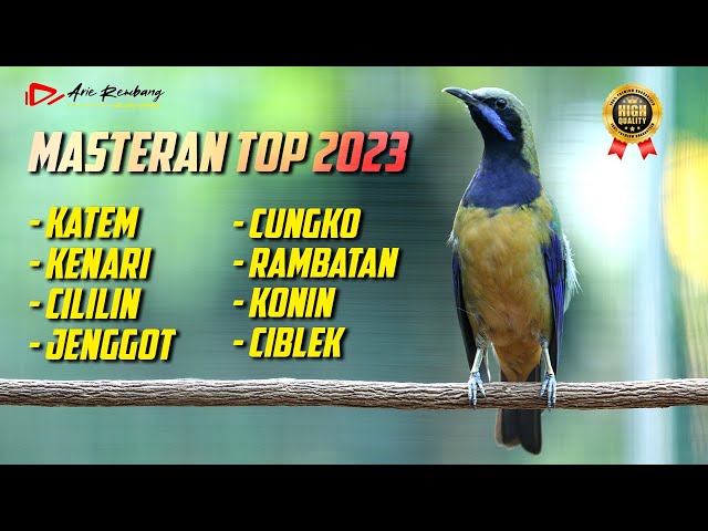 KUMPULAN  MASTERAN SUPER 2023 KATEM - KENARI - CILILIN - JENGGOT - CUNGKO - RAMBATAN - KONIN- CIBLEK class=