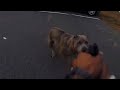 Bodycam: “Aggressive Dog” Shot By Police Officer. Freehold, NJ. October 22, 2022.