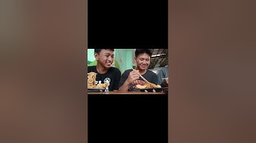 tugas video vlog informatika kelas 9f