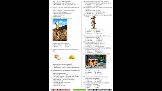 Grade 4 Agriculture and Nutrition End of Term 1 2026 Exam with Marking Scheme