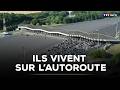 En immersion avec les gardiens de nos autoroutes｜TF1 INFO