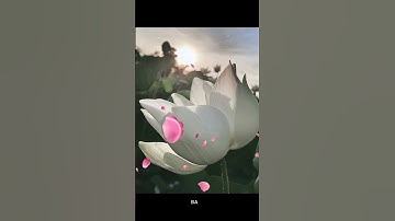 5 câu nói hay về cuộc sống #cauchuyenthamthuy #trietlysong #baihoccuocsong