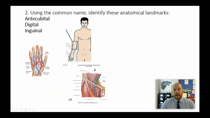 The Language of Anatomy & Physiology Monday