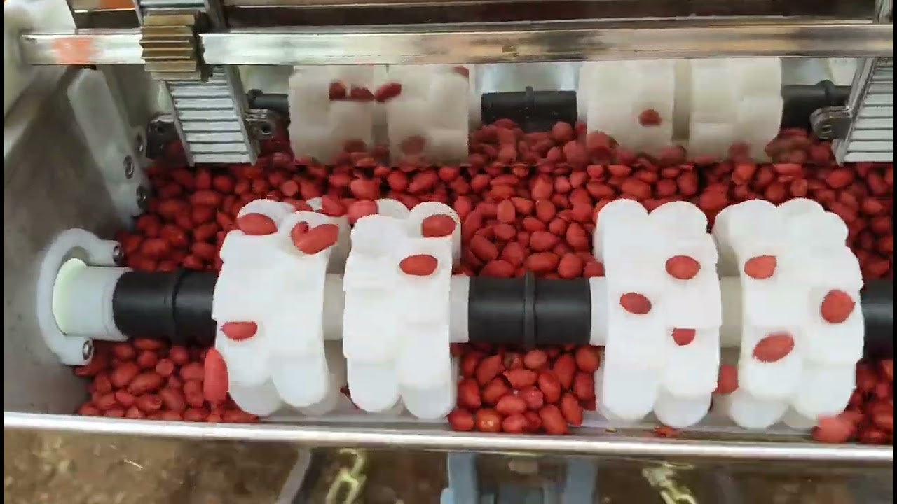 🫘માંડવી વાવવાનું ચાલુ કરી દીધું🥜