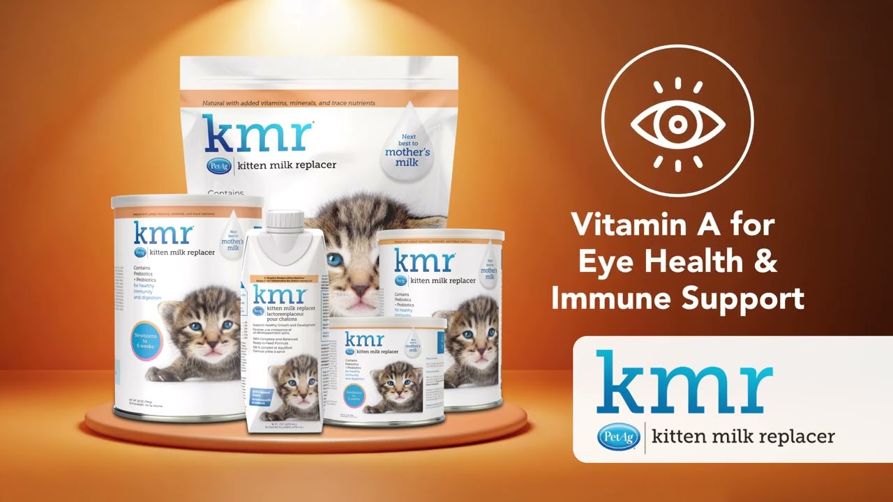 KMR® Kitten Milk Replacer Powder | PetAg