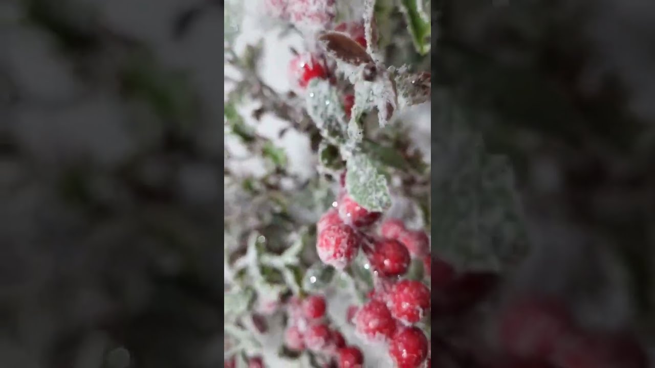 venok dekorativnyj 04088 60 sm 