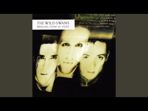 Bringing Home The Ashes - The Wild Swans