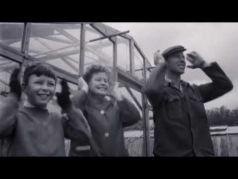 ეივიბიში ბრენდი  Sennheiser HD 25 PLUS ყურსასმენი