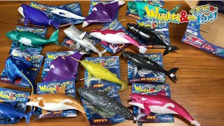 クロコダイル＆Ｃｏ.（アンドコ）トイザらス限定ver 16種類コンプリートセット クロコダイル＆Co.（アンドコ）トイザらス限定ver 16種類