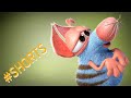 The Cat - Rattic Cartoon | Fun Kids Videos | Fun Cartoon for Kids