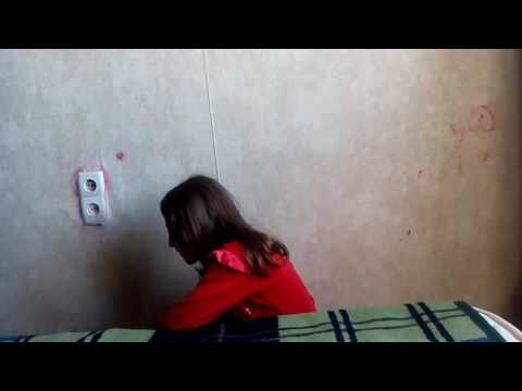 ანის  რვეულები  და  წიგნები