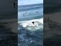 Surfing Venice Beach #beach #californiabeach