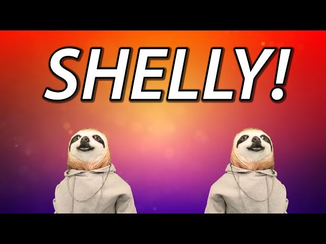 HAPPY BIRTHDAY SHELLY! - SLOTH HAPPY BIRTHDAY RAP