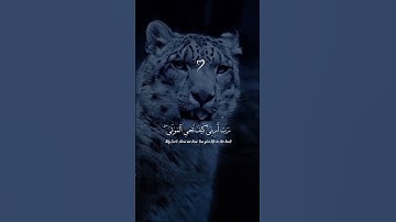 سورة البقرة #قرآن #تلاوة_خاشعة #اكسبلور