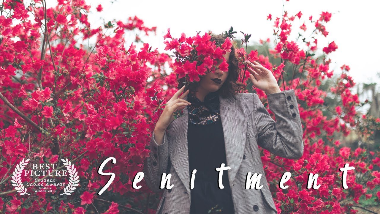 Sentiment - An Experimental Poetry Film