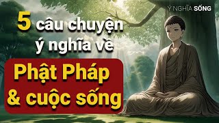 5 câu chuyện hay và ý nghĩa về Phật Pháp và cuộc sống