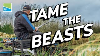 Tame The BEASTS | with Des Shipp