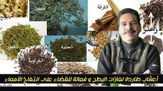 أعشاب طاردة لغازات البطن و فعالة للقضاء على انتفاخ الأمعاء مع الدكتور جمال الصقلي