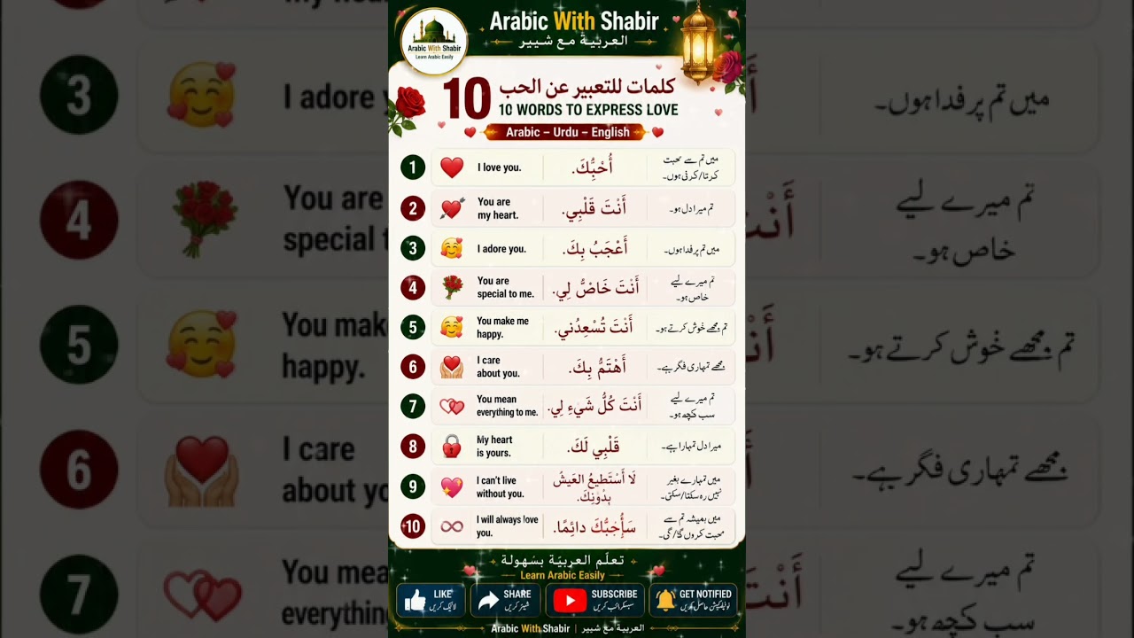 express your love in Arabic to English and Urdu, express your feelings, let's learn Arabic||Arabic||