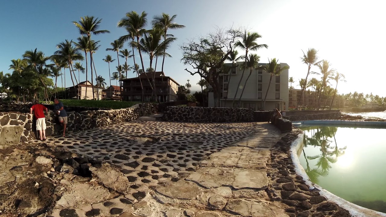 KailuaKona Salt Water Pool YouTube