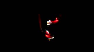 #2 Lightshow [NelesterN] - Titanium by David Guetta