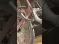 Giant Propel Etap 12 speed carbon wheels &amp; tubeless  (including carbon bottle cage &amp; Garmin mount)