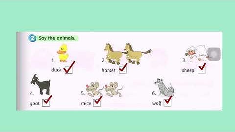 Year 3 (Module 7 - Out and about) - Get Smart Workbook page 59