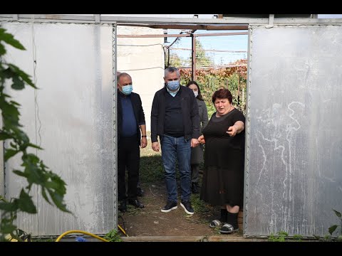 ბესარიონ სიმონიშვილი: დევნილებისთვის მოწყობილი სათბურები ხელს უწყობს მათი შემოსავლის ზრდას