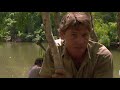 Steve Irwin Being An Amazing Conservationist for 72 Seconds