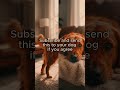 Have you ever noticed this about your dog?