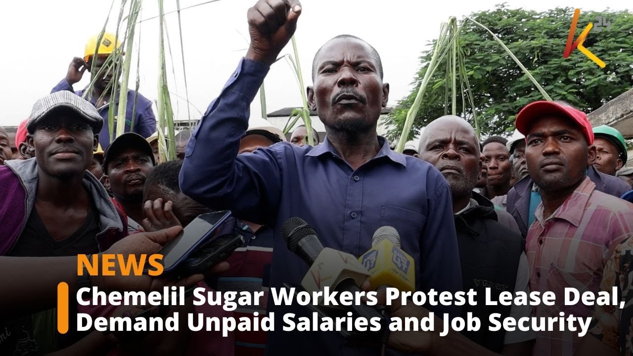 Chemelil Sugar Workers Protest Lease Deal, Demand Unpaid Salaries and Job Security