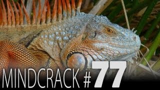 Full Mindcrack Number 77 - Sylvan Ellipse (Z591) Guide
