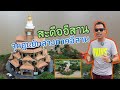 สะดืออีสาน…จุดศูนย์กลางภาคอีสาน อ.โกสุมพิสัย จ.มหาสารคาม