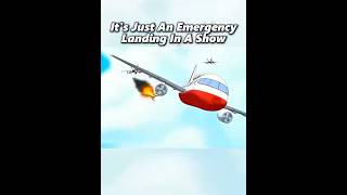 Its Not A Emergency Landing From A Movie 🥺