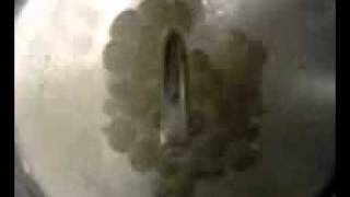 crazy milk bubbles