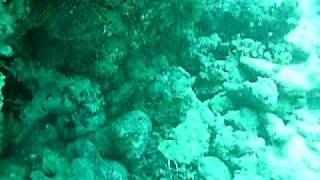 Hurghada El Fanadier South
