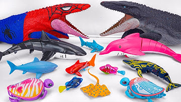 [🦈Toy ASMR] Mosasaurus & RC Dolphin & RC Shark | From Mini to Giant | Satisfying Unboxing
