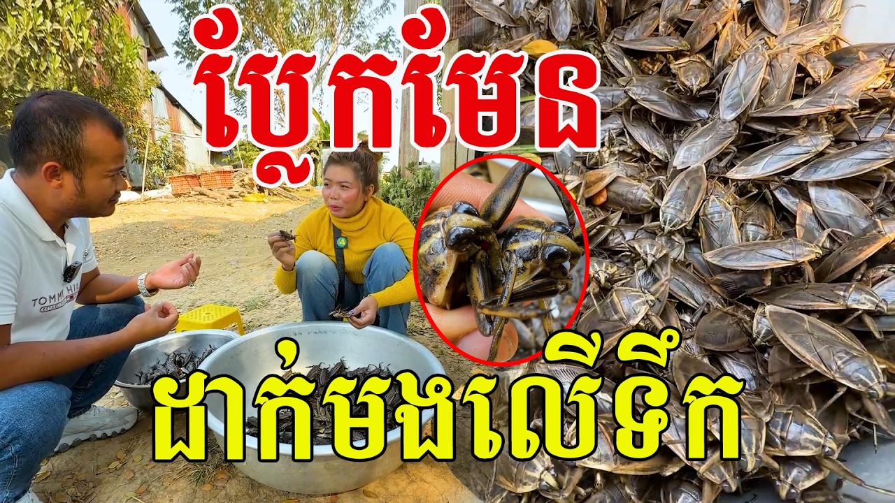 ទើបដឹង ដាក់មងលើទឹក ថ្ងៃហែល យប់ហើរ