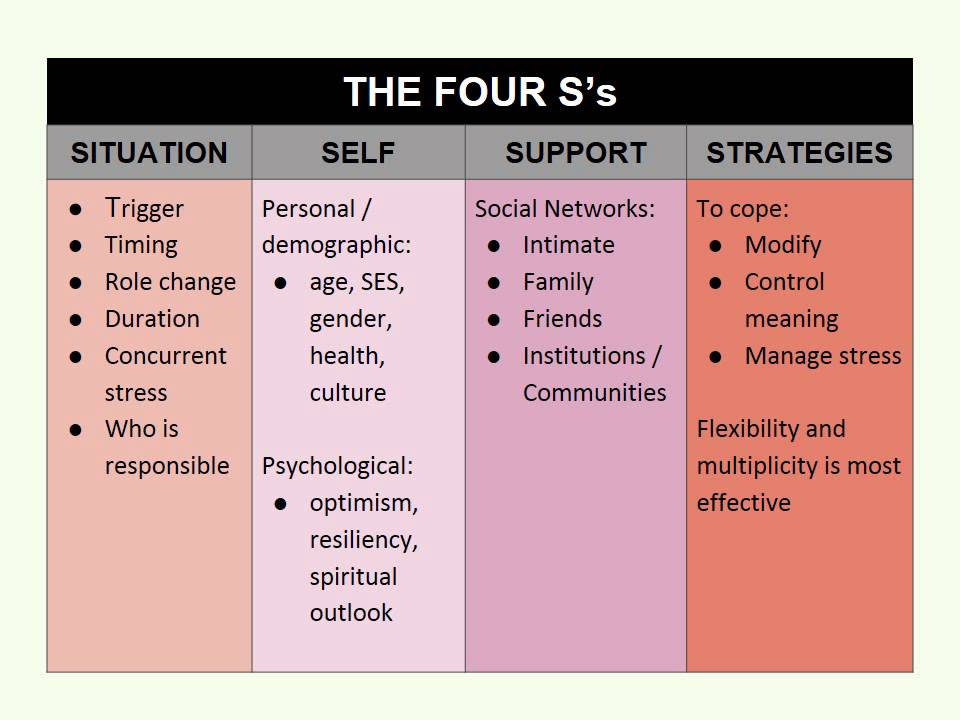 Schlossberg Transitions Theory - YouTube