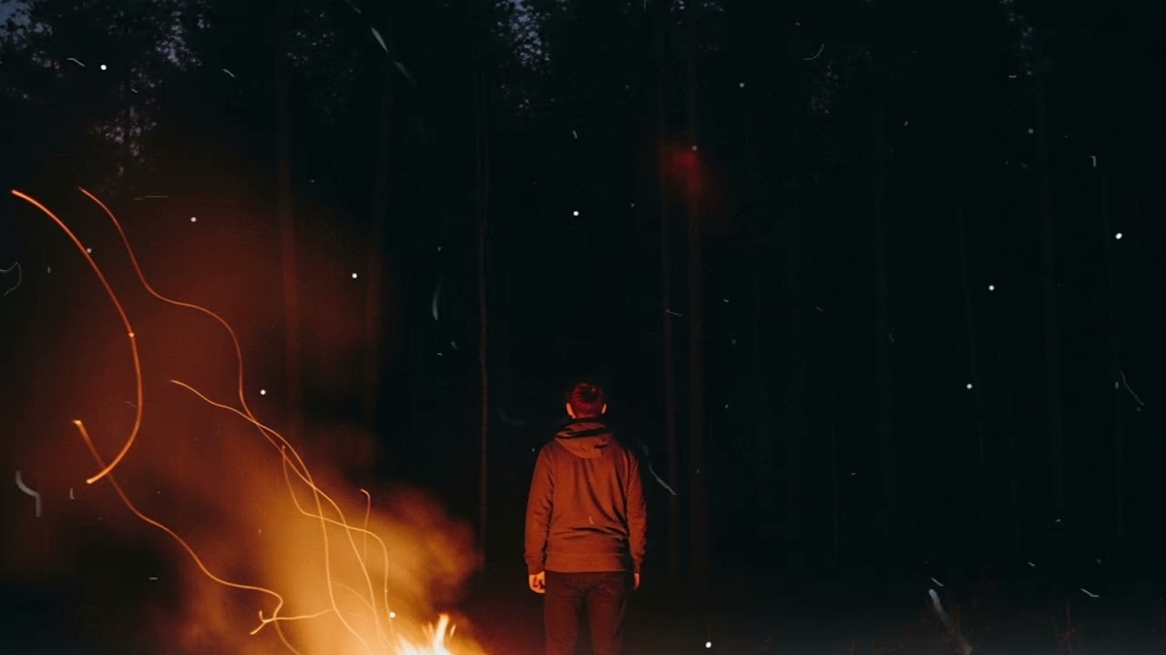 The Forest Went Silent Right After We Heard It