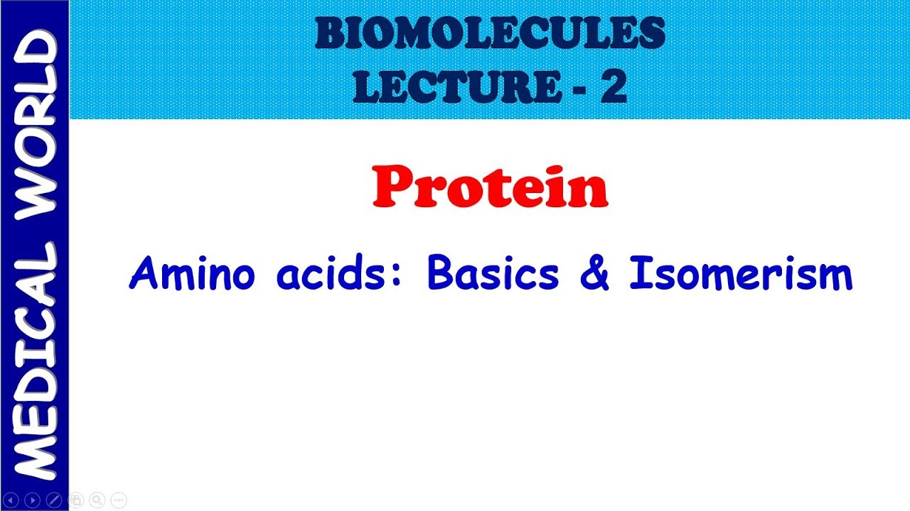 BIOMOLECULES AMINO ACIDS LECTURE 2 YouTube