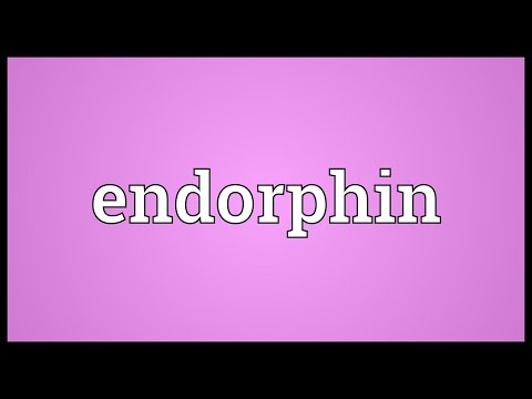 Endorphin Meaning