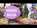 Vámonos a Xochimilco|Mercado Madre Selva