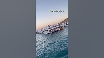 يا ملاذ الهاربين #راحة_نفسية  #رمضان_2026 #دعاء_مستجاب #دعاء #اذكار_الصباح #اذكار_المساء