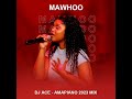 Mawhoo  amapiano 2023 mix  dj ace 