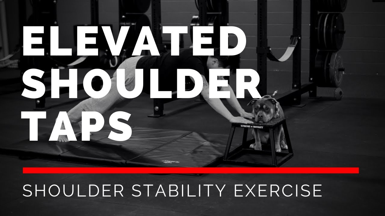 Elevated Shoulder Taps (CORRECT Your Winged Scapula) - YouTube